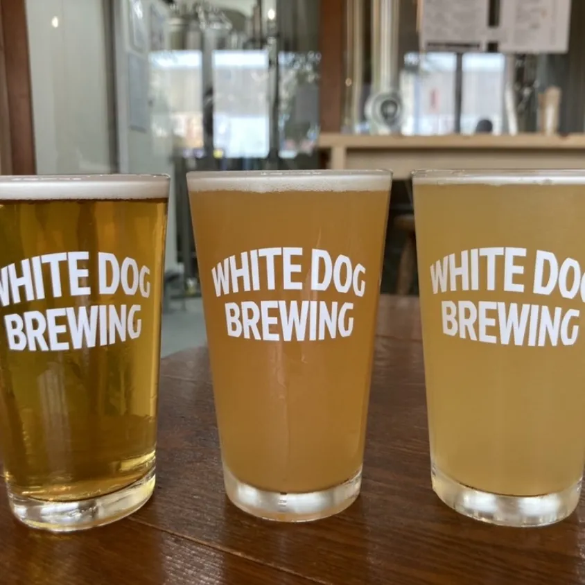 WHITE DOG BREWING 浦賀醸造所 × TASKO