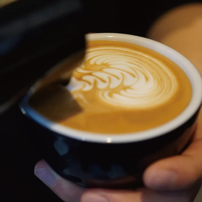 NOG COFFEE ROASTERS