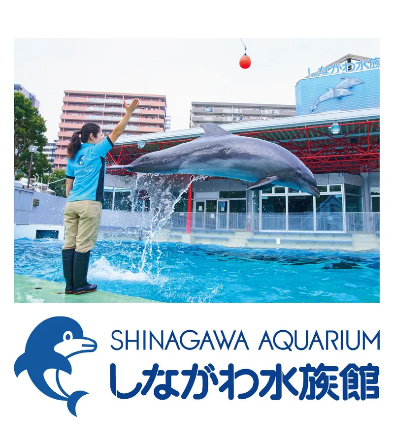 キミは何問わかるかな!?クイズに答えて、いきもの博士になろう!
