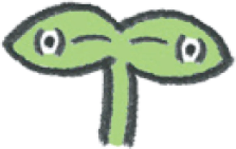 め